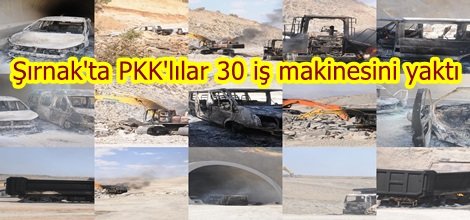 Şırnak'ta PKK'lılar 30 iş makinesini yaktı
