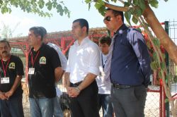 “Ceyhan’da sokak köpeklerine toplu itlaf” iddiası