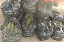 Diyarbakır’da 146 kilo esrar yakalandı