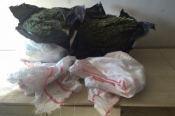 Diyarbakır’da uyuşturucu baskını: 10 kişi yakalandı