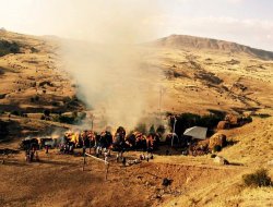 Bingöl’de 12 ailenin kışlık otu yandı