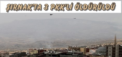 Şırnak’ta 3 PKK’li öldürüldü