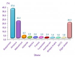 TC vatandaşlarının yüzde 1,3’ü yurt dışı doğumlu