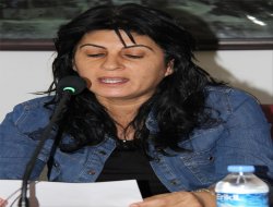 Nusaybin Belediye Başkanı gözaltına alındı