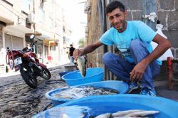 Dicle Nehrinde balık çeşidi azalıyor video foto