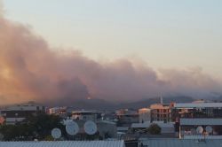 Bursa’da büyük orman yangını