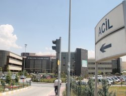 İran sınırında 4 göçmen vuruldu