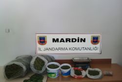 Mardin’de uyuşturucu operasyonu