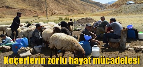 Yaylada yaşayan göçebelerin zorlu hayat mücadelesi