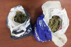 İnternet kafede esrar ele geçirildi