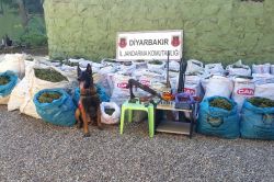 Çınar’da çok miktarda uyuşturucu ele geçirildi