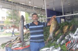 Balık sezonu başladı ama Diyarbakırlı satıcılar şikâyetçi