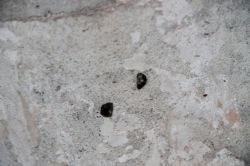 Bingöl’deki göktaşı yağmuru inceleniyor