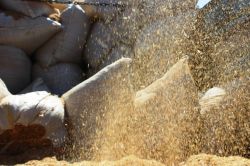 Çatışmalar saman satıcılarını da vurdu