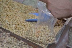 Fındık yarı fiyatına düştü