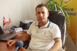 Şiddet olayları arı gezgincilerini de etkiledi