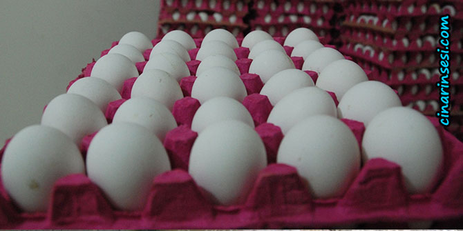 İhracatın artması yumurta fiyatlarını yükseltti