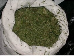 Bingöl'de Uyuşturucu Yakalandı