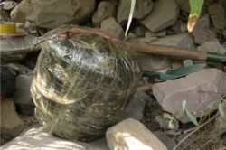 Siirt’te el yapımı patlayıcı düzenekler imha edildi