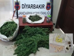 Diyarbakır’da esrar ele geçirildi