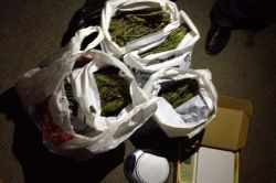 Gaziantep’te uyuşturucu baskını