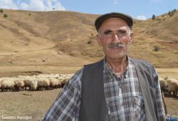 Olaylardan olumsuz etkilenen koçerler barış çağrısı yaptı