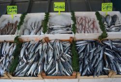 Yaşanan olaylar balıkçıları olumsuz etkiliyor