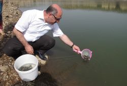 Bingöl’de su kaynaklarına 45 bin yavru sazan bırakıldı