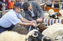 Gaziantep’te kurban kesim ve satış yerleri belirlendi