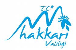 PKK’nın attığı havanlar Yüksekova’ya düştü