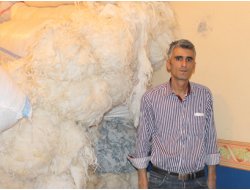 Yün En Sağlıklısı