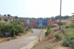 Hayvan barınağının kapatılması kararına tepki