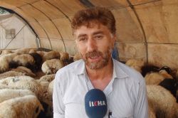 Kurbanlıklar Gaziantep’e getirilmeye başlandı