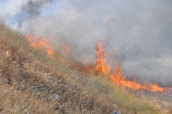 Batman’da anız yangınlarıyla mücadele toplantısı yapıldı