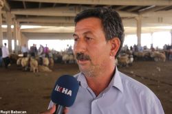 Şiddet olayları besicileri de vurdu