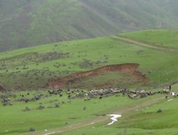 Bitlis’te 139  Geçici Askeri Güvenlik Bölgesi ilan edildi