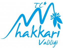 Çukurca’da silah ve mühimmat ele geçirildi