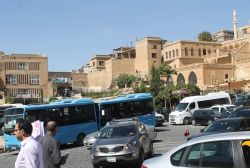 TRC3 Bölgesi'nde en fazla araç Mardin'de