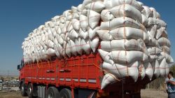 Diyarbakır’da 80 bin paket kaçak sigara ele geçirildi