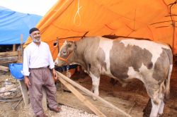 İzmit'te kurban pazarı hareketli geçiyor