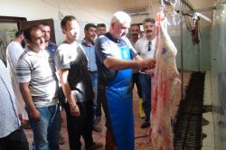 Ceylanpınar'da kasaplık kursuna yoğun ilgi