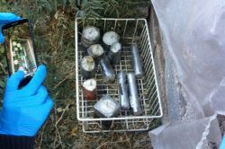 Bulanık’ta adliye lojmanlarına saldıran 2 kişi tutuklandı