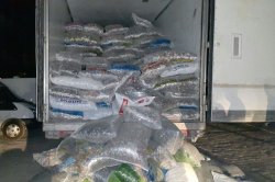 Ağrı’da kaçak sigara ele geçirildi