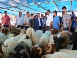 Gaziantep’te kurban alanlarında denetimler bugünde yapıldı
