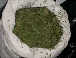 Adana'da Uyuşturucu Operasyonu