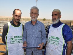 Batman Umut-Der 4 bin aileye kurban eti ulaştıracak