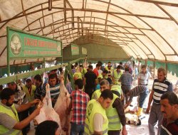 Şanlıurfa’da kurban yoğunluğu