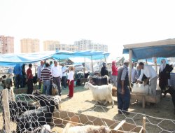 Kurbanlıklarda bayram indirimi