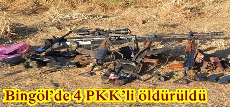 Bingöl’de 4 PKK’li öldürüldü