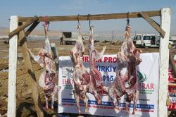 İHO EBRAR Ankara'da öğrencilere kurban eti yardımında bulundu video